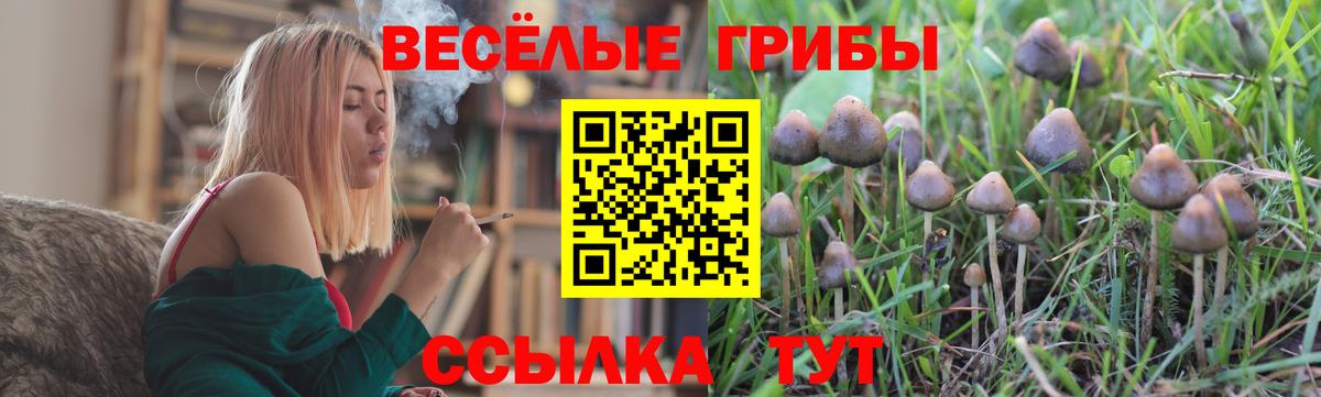 Новый Уренгой  Галлюциногенные грибы Psilocybine cubensis  Вход с VPN 